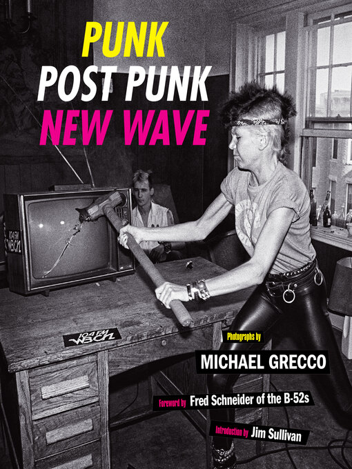 Title details for Punk, Post Punk, New Wave by Michael Grecco - Available